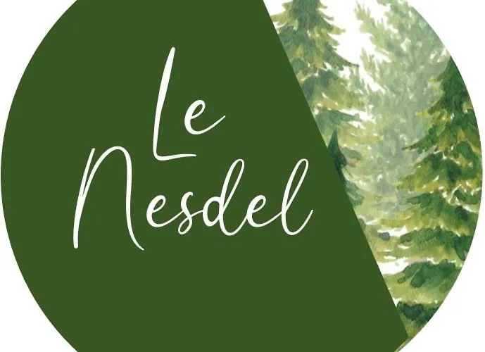 Le Nesdel Appartement Gérardmer